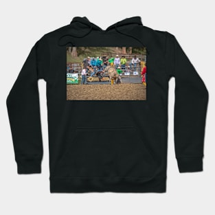 RODEOS, HORSES, COWBOYS Hoodie